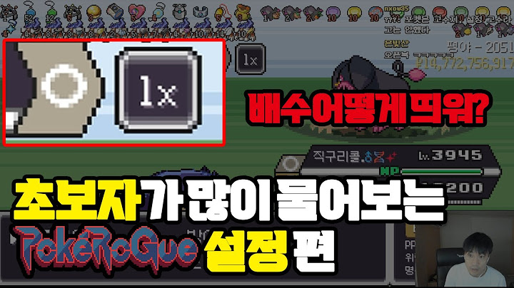 포켓로그 초보자가 많이 물어보는 게임설정을 알아보자 | 포케로그를 탐구해보자