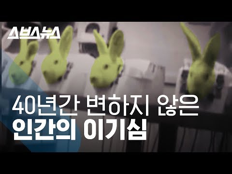 본문 사진