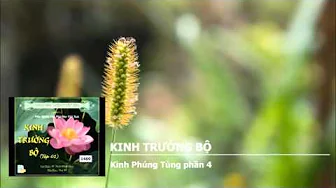 K.Phúng Tùng phần 4 