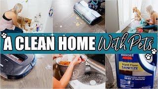 EXTREME CLEAN WITH ME 2020-A CLEAN HOME WITH PETS-CLEANING MOTIVATION -WHOLE HOUSE CLEAN WITH ME