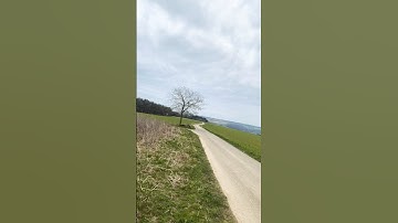 #quran #القرآن_الكريم #راحة_نفسية #تلاوات #تجويد #سعود_الشريم #آيات