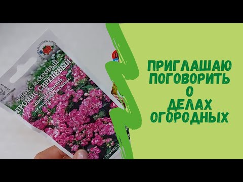 Приглашаю поговорить о делах огородных