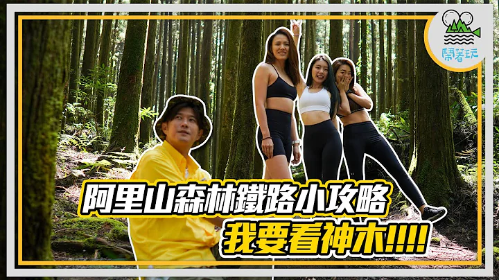 动画电影场景神还原的神祕森林 阿里山真的美到不行!!!  ｜森林铁路攻略再进化 社长圆梦 经典场景再现【闹著玩283】 - 天天要闻