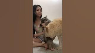 Mga ka mingming at YUMi ko dyan gusto ko lang po sabihin na BFF na sila ngayon 🥰😅💁🏻‍♀️
