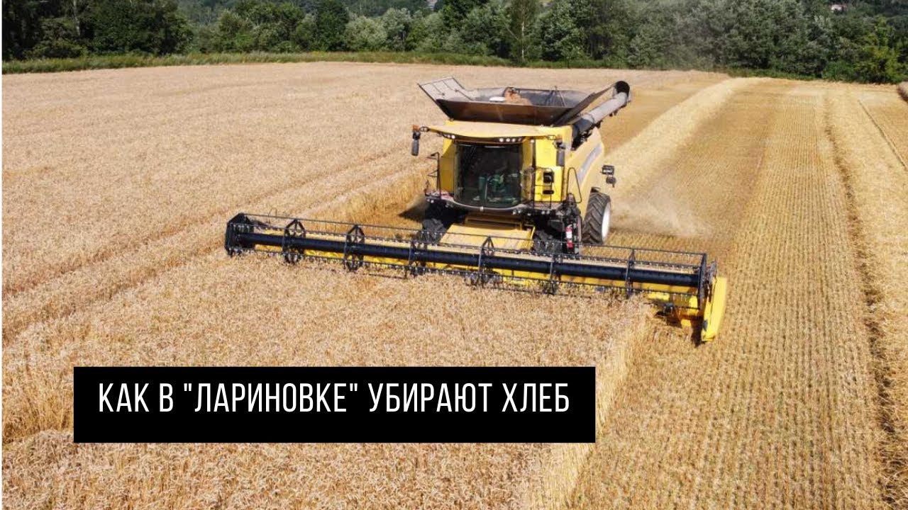 Как в "Лариновке" убирают хлеб - YouTube