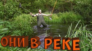 КОПАЛ В РЕКЕ И НАШЕЛ!ЦАРСКАЯ РЕКА!КОП ПО ВОДЕ С МЕТАЛЛОИСКАТЕЛЕМ! КОПАЛ В РЕКЕ И НАШЕЛ!ЦАРСКАЯ РЕКА!КОП ПО ВОДЕ С МЕТАЛЛОИСКАТЕЛЕМ!