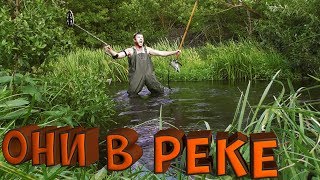 КОПАЛ В РЕКЕ И НАШЕЛ!ЦАРСКАЯ РЕКА!КОП ПО ВОДЕ С МЕТАЛЛОИСКАТЕЛЕМ!