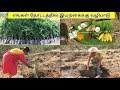     i worshipping the nature i aadhavan farms tirunelveli