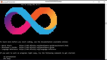 Getting Started Dfinity SDK Guide