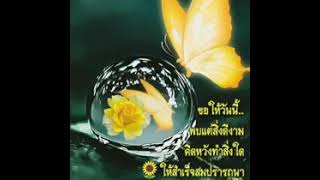 สวัสดีวันจันทร์"พ่ายรัก"💛"นพเก้า