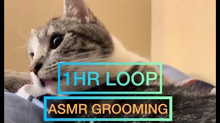 Cat Grooming ASMR with Bubbles 04 (1HR LOOP)