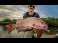 Win some loose some  big mangrove jack  fishing seq with lures