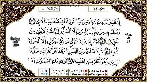 سورة النجم بصوت ياسين الجزائري