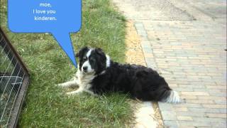 Stripverhaal Robby Juneau