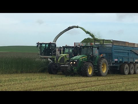 Ensilage De Seigle à Bethon 2021