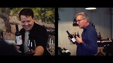 Welcome at VitisVin anno 2021