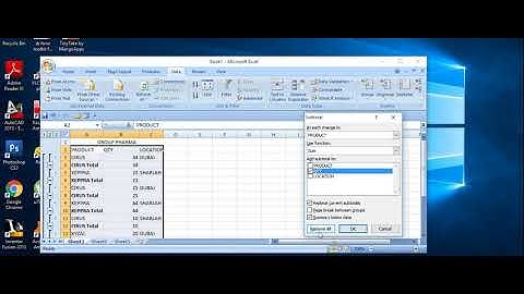 Sort & Subtotal Function in Excel