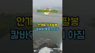 (카운티 캠핑카 여행) 2025년 6월  23일 07시 충주 수주팔봉 칼바위 폭포, 안개가 자욱한 이른 아침, 오늘도 차박이 금지되어 있네요