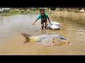 Big Carp  Fish Catch By Hand | Traditional  Fishing By Hand in Mud Water