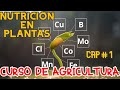 🌱🌱 CURSO DE AGRICULTURA, CAPITULO #1 NUTRICIÓN EN PLANTAS🌱🌱🪴🪴 CURSO GRATUITO !!🪴🌵