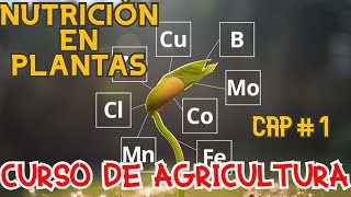  Curso De Agricultura Capitulo Nutrición En Plantas Curso Gratuito 