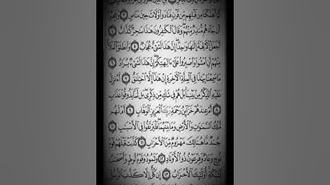 حريز زعبنوت المهري سورة ص