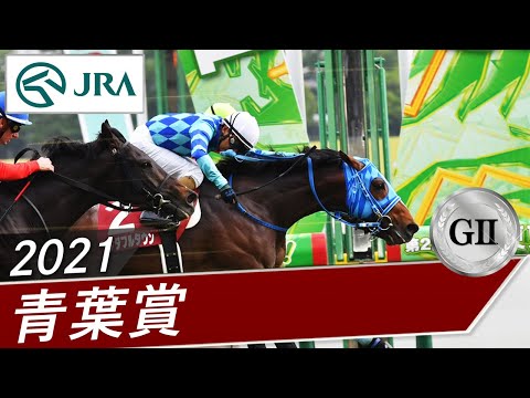 2021年 青葉賞（GⅡ） | ワンダフルタウン | JRA公式