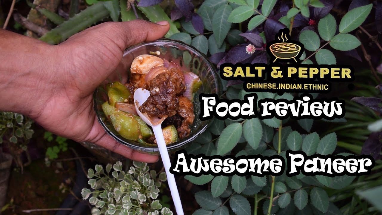 Salt And Pepper Food Review (Surprisingly tasty food) YouTube