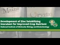 Development of Zinc Solubilizing Inoculant for Improved Crop Nutrient