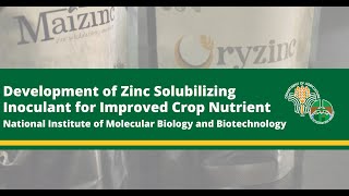 Development of Zinc Solubilizing Inoculant for Improved Crop Nutrient