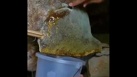 📖وَأَوۡحَىٰ رَبُّكَ إِلَى ٱلنَّحۡل»🐝 القارئ هزاع البلوشي