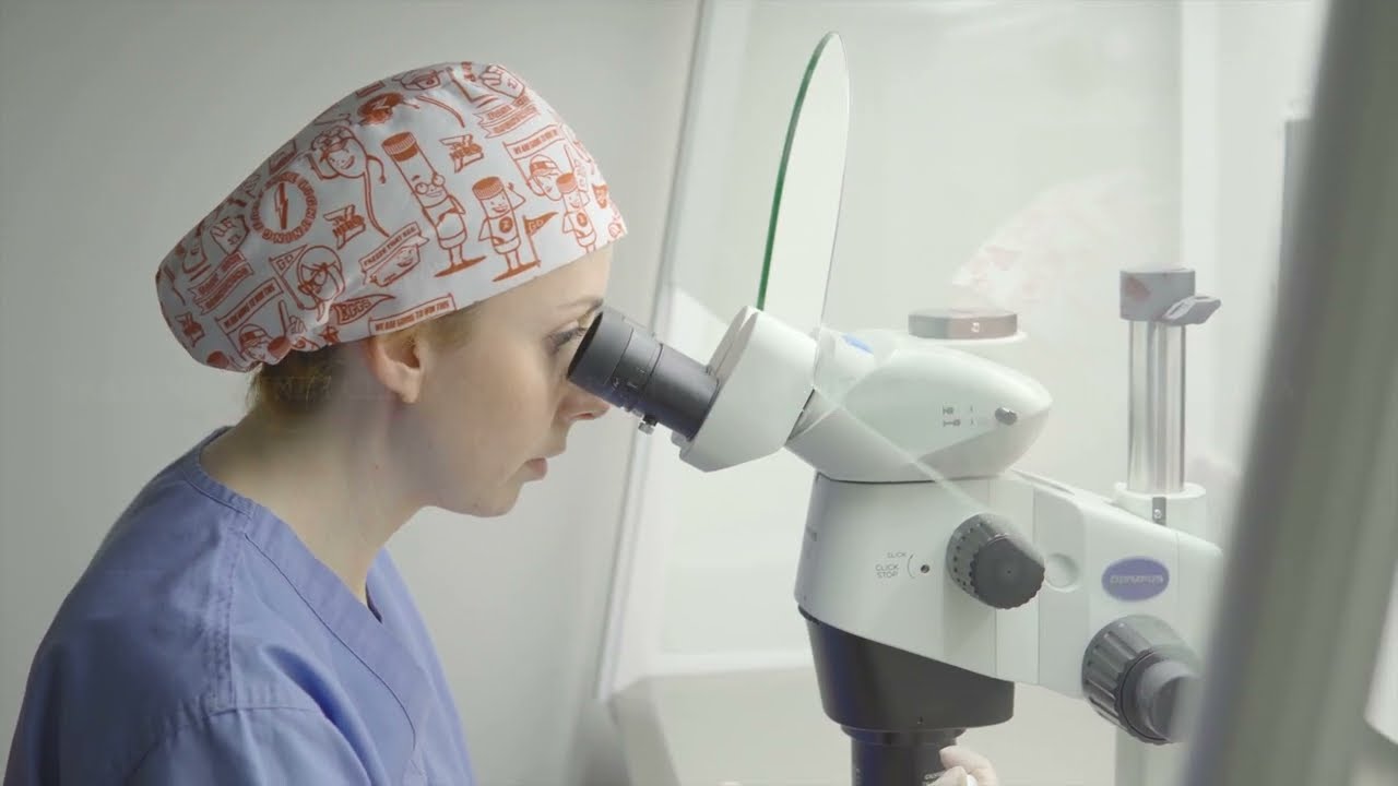 IVF POSTUPAK u Zavodu Mehmedbašić