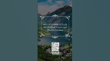 والله يريد ان يتوب عليكم  |.سورة النساء .| تدبر.......
