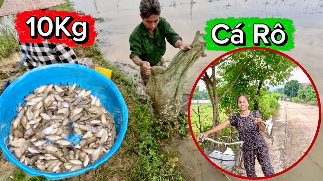Kỉ Niệm Lần Đầu Đi Bắt Cá Rô Ron Cùng Bác Thông, Hồi Đó Cá Rất Nhiều ...