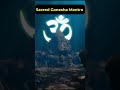 Sacred Ganesh Mantra 🙏 Om Ganapataye Namah for Wisdom & Blessings #innerpeace