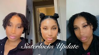 My Sisterlocks Are Ruined *Pictures Included