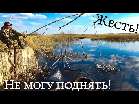 ПАУКИ ТРЕЩАТ ПО ШВАМ ОТ ЭТИХ РЫБИН! СУПЕР УДАЧНАЯ РЫБАЛКА на ПАУК ПОДЪЁМНИК!!!