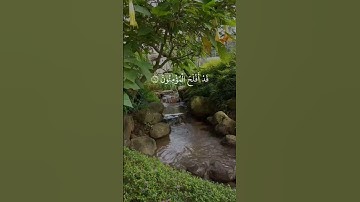 🔥 لحظات من الخشوع مع أولى آيات سورة المؤمنون | أداء مبهر للشيخ عبدالباسط
