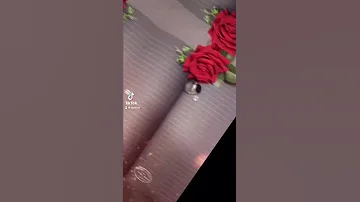زوجتي الحبيبة زوجتي الغالية حبيبة عمري كل عام وانتي بخير 