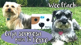 Caja sorpresa mensual para perros ¡Unboxing Woofpack!