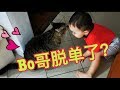 Bo哥不寂寞了 #猫咪#宠物日常