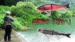 しょごたん Youtube