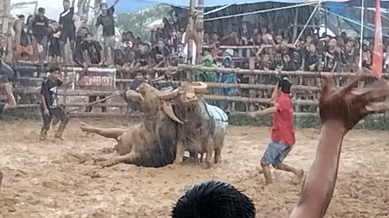 HARTOP BIRU TJT (WIN) VS TEVES BONORAN