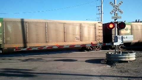 Train and a crossing gate