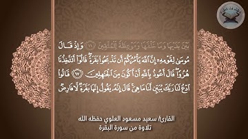 تلاوة من سورة البقرة .. للقارئ/ سعيد بن مسعود العلوي (حفظه الله)