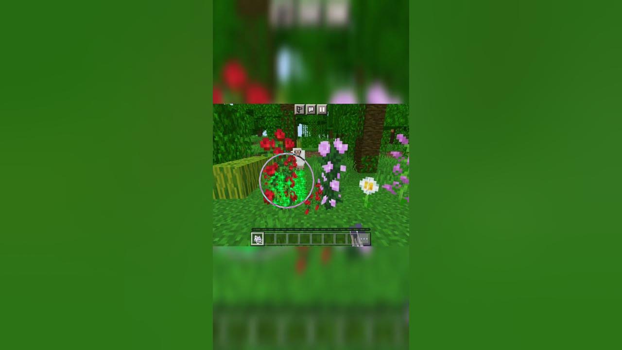Minecraft How to multiply flowers YouTube