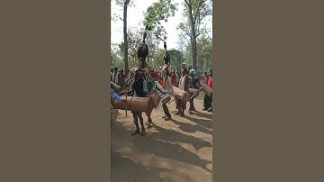 आदिवासी गोंड समाज डांस