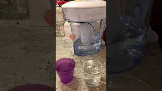 Testing my Zero Water Filter for the first time