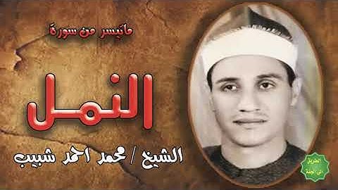 الشيخ القارئ محمد احمد شبيب رائعة سورة النمل