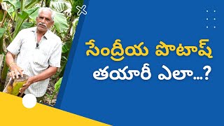 Organic MOP ,సేంద్రీయ పొటాష్ తయారీ ఎలా...? | #organicMOP #potash #agriculture #farming